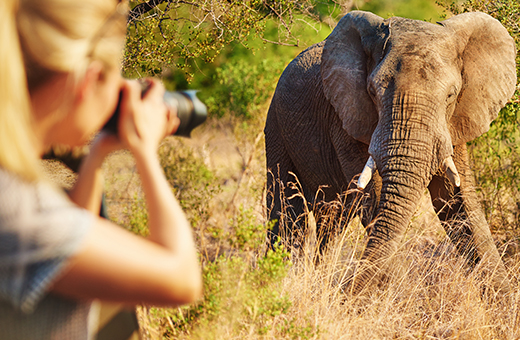 Auf Safari mit Afrikascout