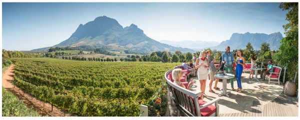 weinprobe in stellenbosch und franschhoek mit afrikascout