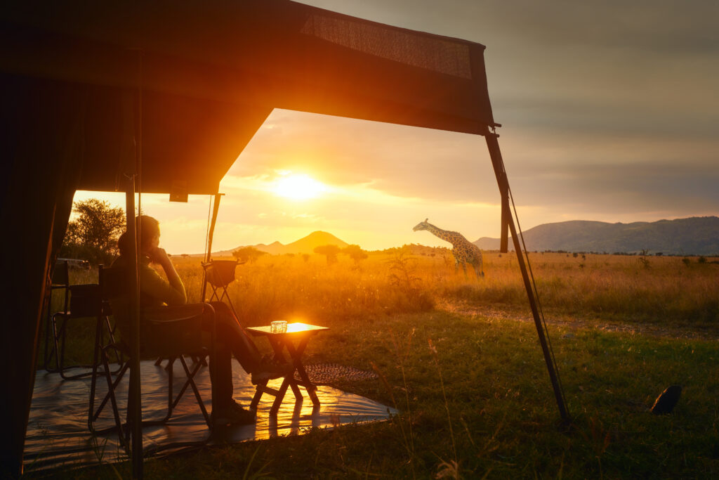 Woman,Rests,After,Safari,In,Luxury,Tent,During,Sunset,Camping Frau genießt in ihrem Glamping-Zelt auf Safari den Ausblick auf eine Giraffe