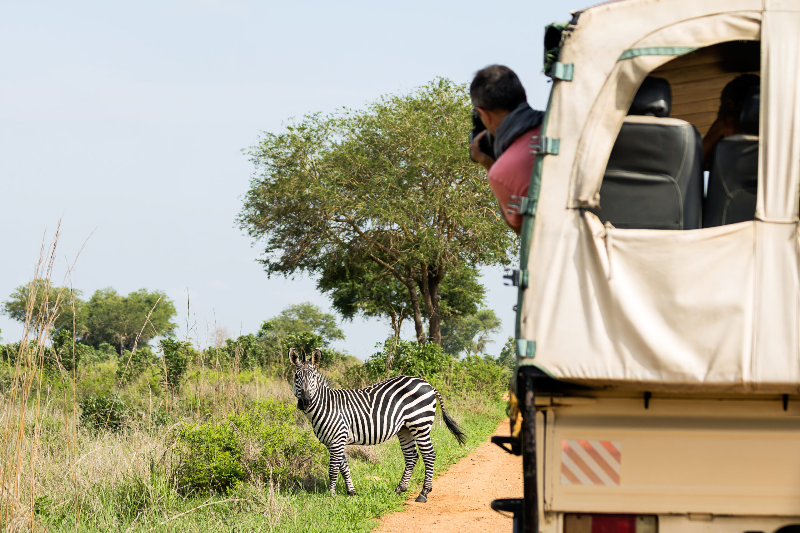 Safari,Car,In,National,Park