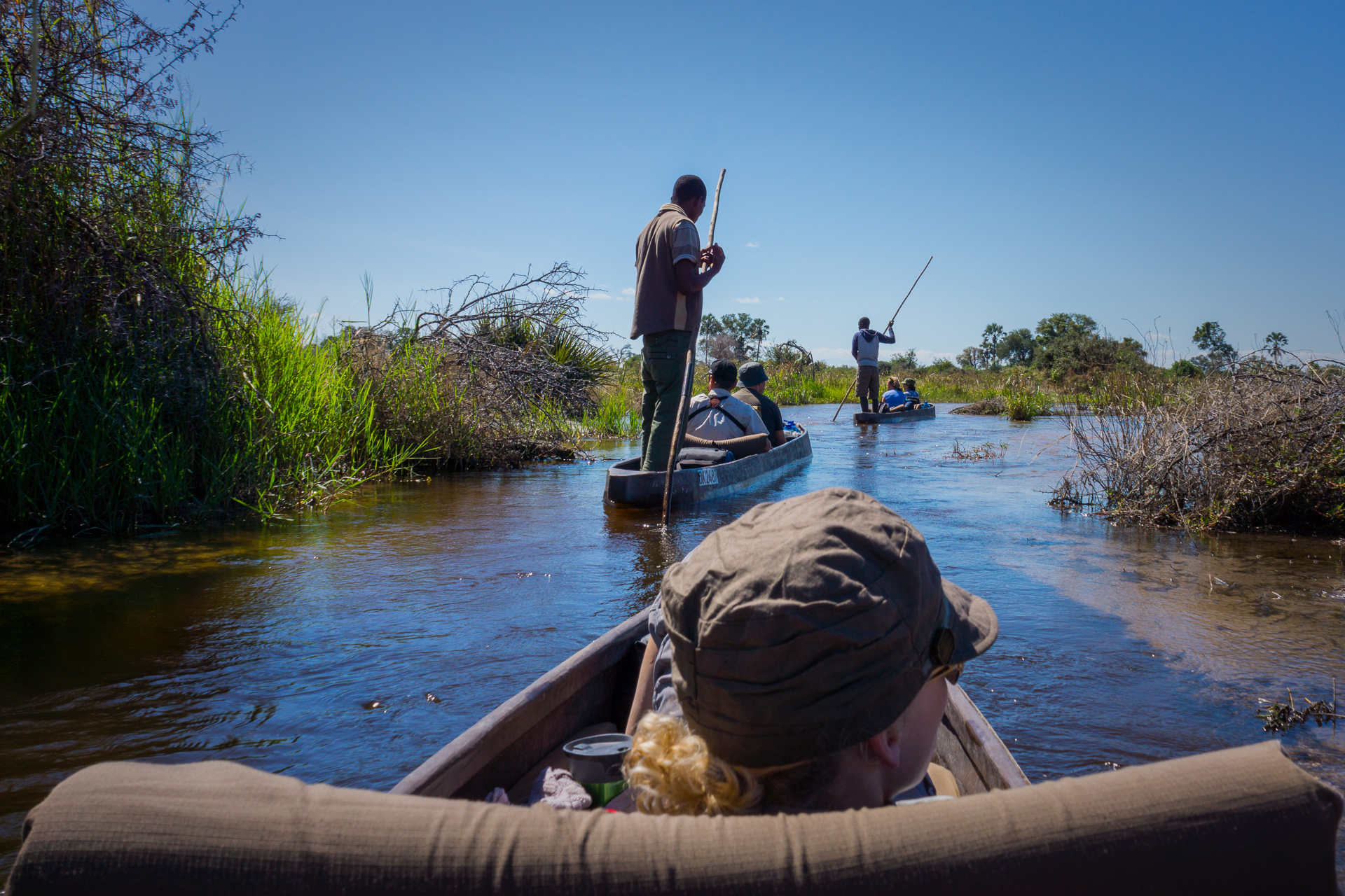 afrikascout-botswana-mokoro