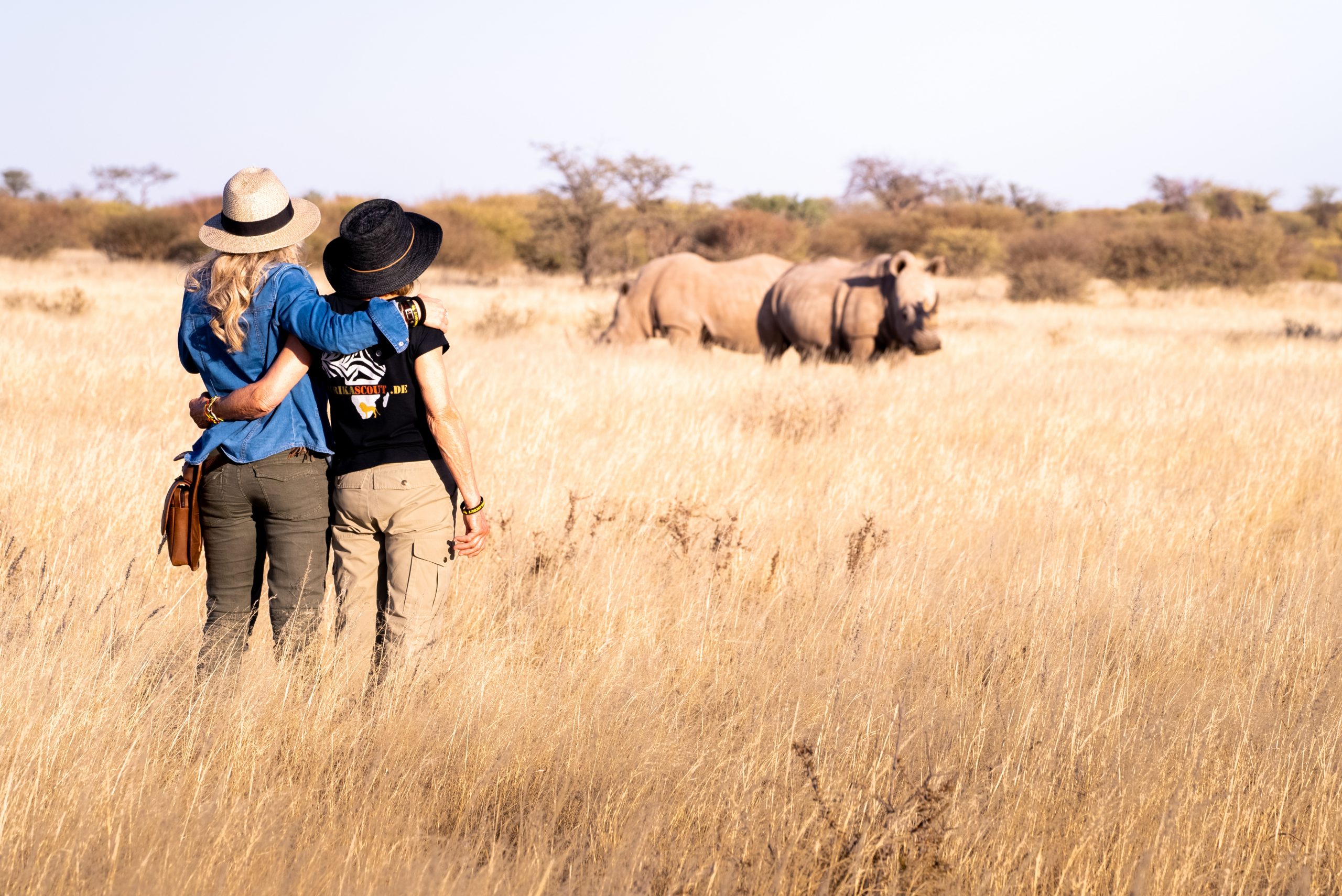 afrikascout-deine perfekte Reise-nashorn