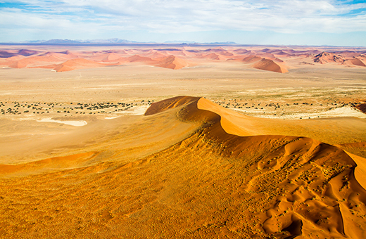 Namib desert with Africa scout