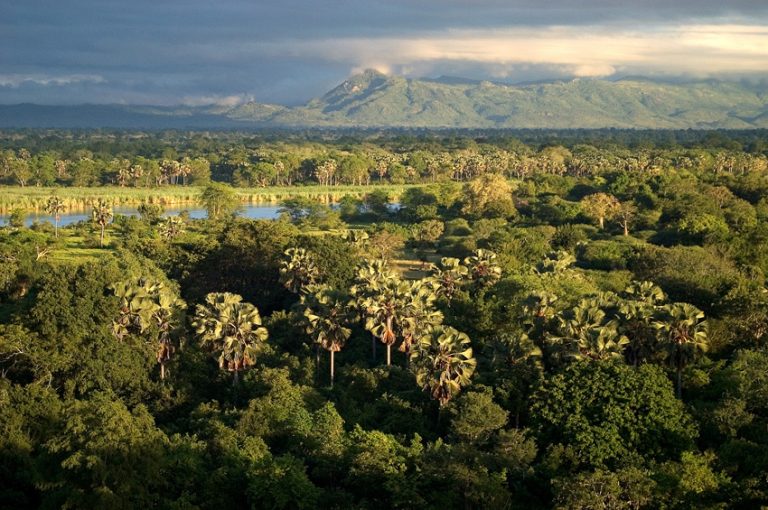 safari urlaub afrika pauschalreise