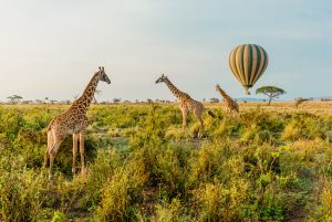 Tansania Privatreise Safari Sansibar - Ballonfahrt